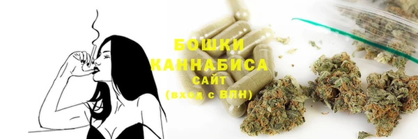 PSILOCYBIN Вязьма