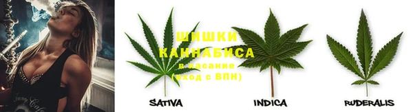 шишки Верея
