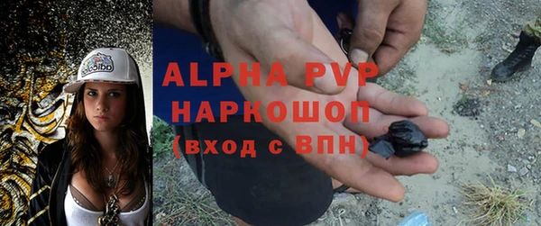 шишки Верея