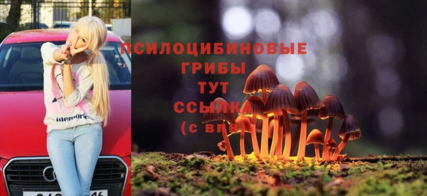 прущие крисы Рославль