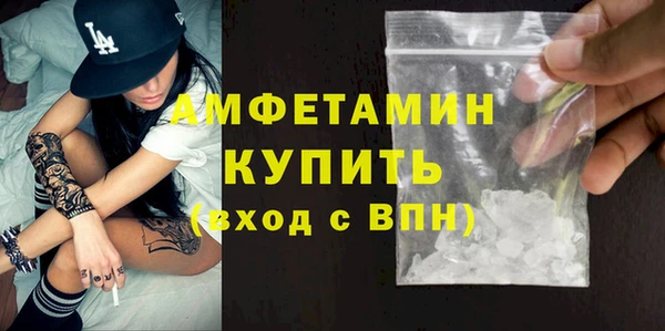 шишки Верея